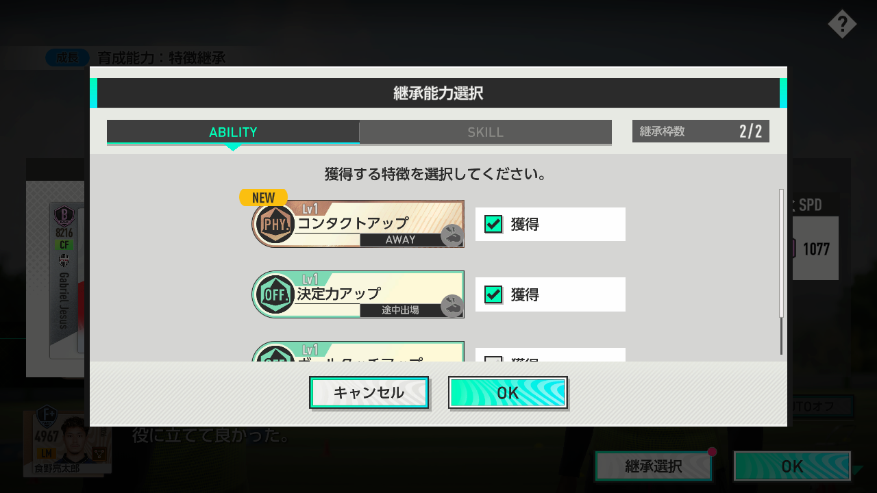 継承能力選択_J.png